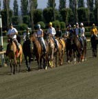 promenades en cheval