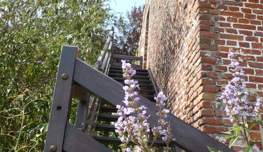 Chambres d'h&ocirc;tes myosotis